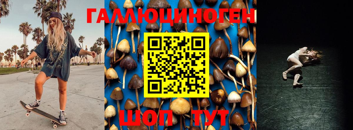 Галлюциногенные грибы Psilocybine cubensis Губкинский