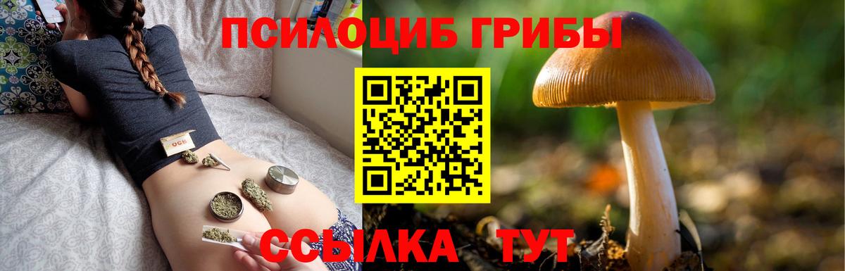 продажа наркотиков  Псилоцибиновые грибы GOLDEN TEACHER  Губкинский  Вход с VPN  Псилоцибиновые грибы Psilocybe 